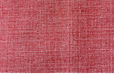 Strawberry -  Laminated Cotton - by the 1/2 yard