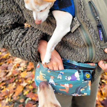 Sewing Pattern - Fanny Pack