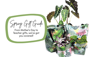 Spring Gift Guide 2025
