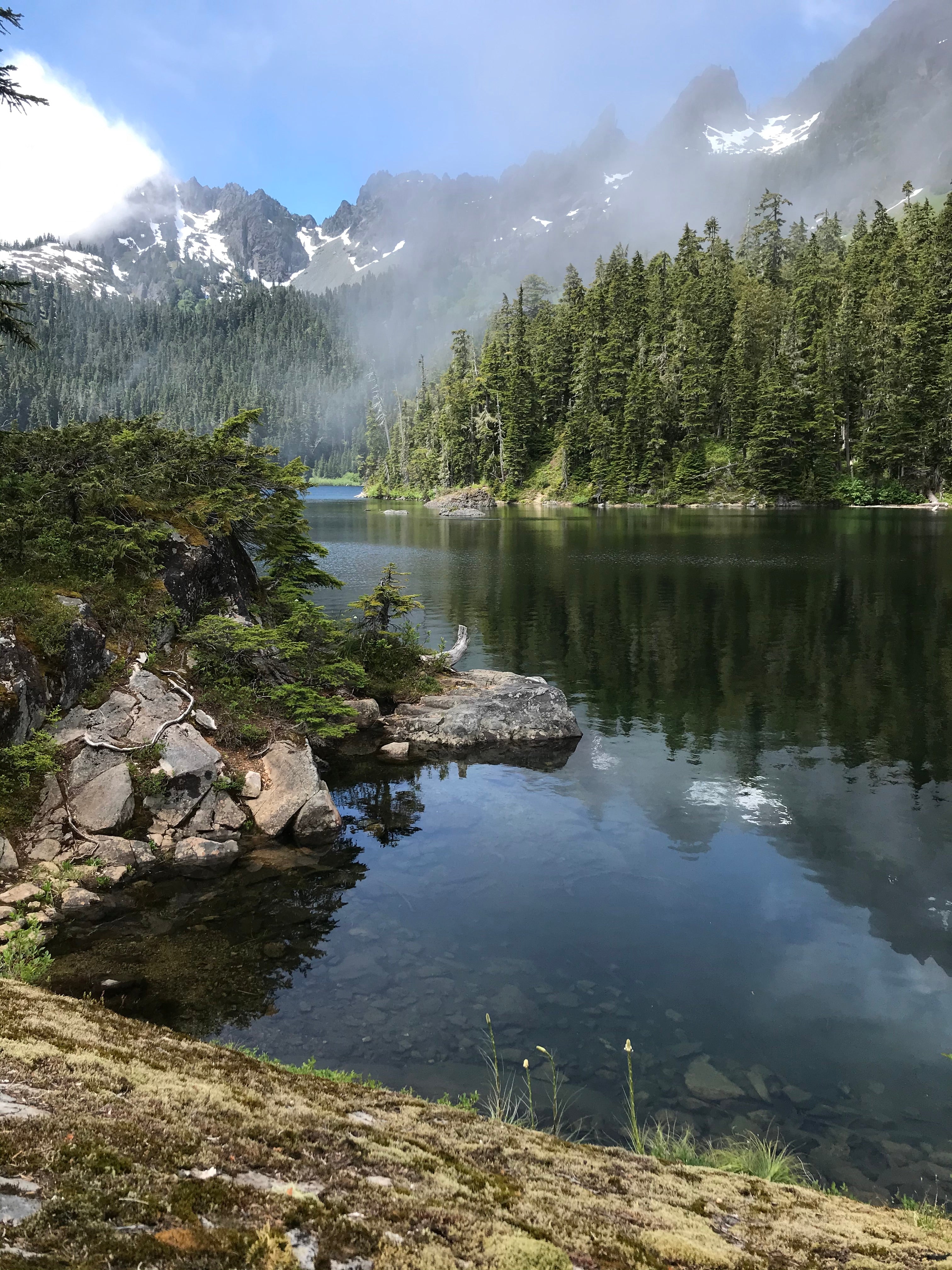 Earth Day & Things You Can Do Now to Celebrate!