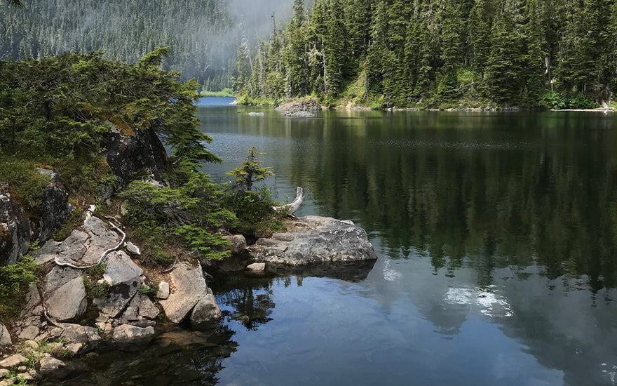 Earth Day & Things You Can Do Now to Celebrate!
