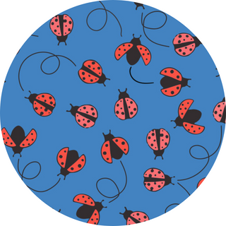 Ladybug
