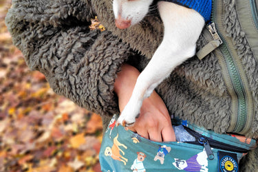Dog Walk Bag | Bonk Bag | Fanny Pack