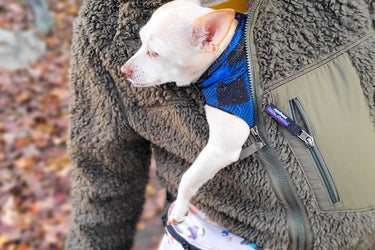 Dog Walk Bag | Bonk Bag | Fanny Pack